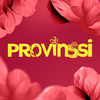 Provinssi