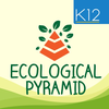 Ecological Pyramid