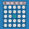 Classic Bingo Touch