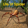Life Of Spider