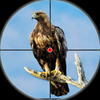 Bird Hunting Game 2025