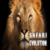 Safari: Evolution TV