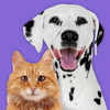 Pet Parade: Cutest Pet Game