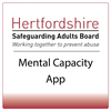 Mental Capacity Assessments
