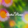 Electric Picnic