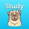 StudyPug — Expert Math Tutors