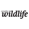 Canadian Wildlife Magazine