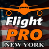 New York Flight Simulator Pro