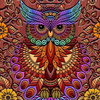Coloring Owl:Paint Color Cases