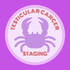 Testicular Cancer Staging