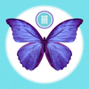 AR Butterflies
