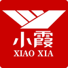 Xiaoxia Intermediate Accountan