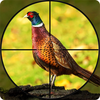 Bow Pheasant Bird Hunting Game