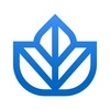 Ivy.co