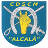 cdscmetalcalai