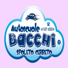 Autoscuola Bacchi Spoleto