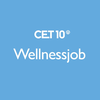 Wellnessjob