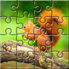 Photos Jigsaw Puzzle