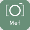 MET Guide & Tours