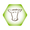 CowSignals® Training Company