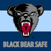 Black Bear Safe