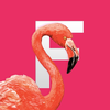 Flamingo Tropical Stickers