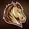 SMSU Mustangs