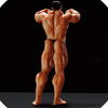 Iron Muscle Bodybuilding game