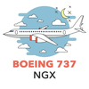 Boeing 737 NGX Checklist
