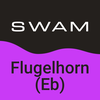 SWAM Flugelhorn Eb