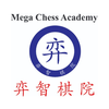 Mega Chess Academy