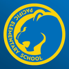 Pacific Elementary School Puma