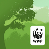 WWF Forests