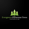 Evergreen App
