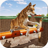 Pet Puppy Animals Shelter Sim
