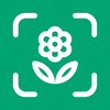 Planto: Plant Identifier