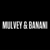 MULVEY & BANANI Connect
