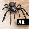 ARSpiders.com Spider on Face