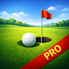 Golf Handicap Calculator Pro