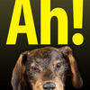 Ah! – Die App
