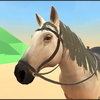 Horse Care 3D