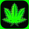 Weed Stickers: High Munchies