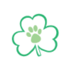 Shamrock Animal Hospital