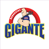 Repuestos Gigante