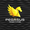 Pegasus Music App