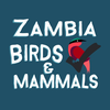 Zambia Bird & Mammal Checklist