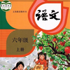 小6上语文大全