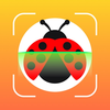 Insect ID Bug Identifier