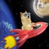 Doge To Mars