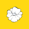 Lutea - cycle charting app